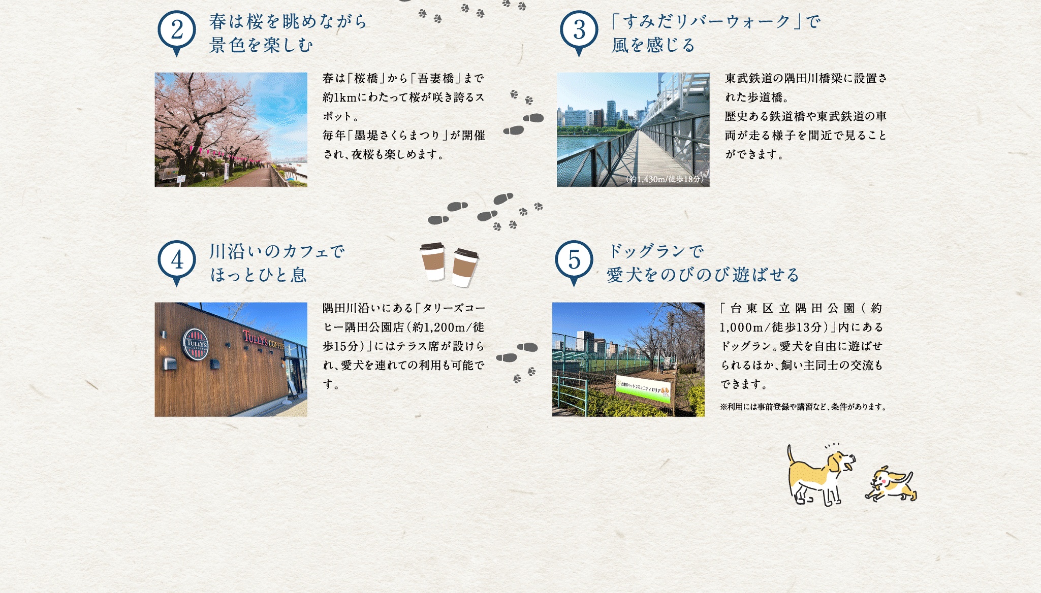 隅田川テラスさんぽ